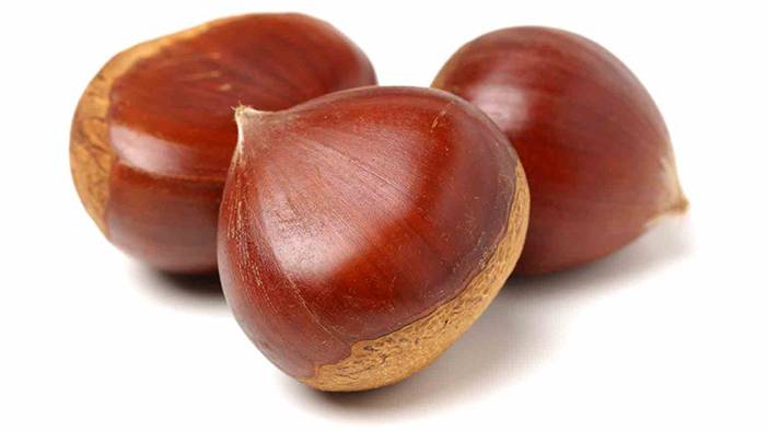 Pişince köpürüyorsa sakın yemeyin! Gerçek kestane nasıl anlaşılır? 3